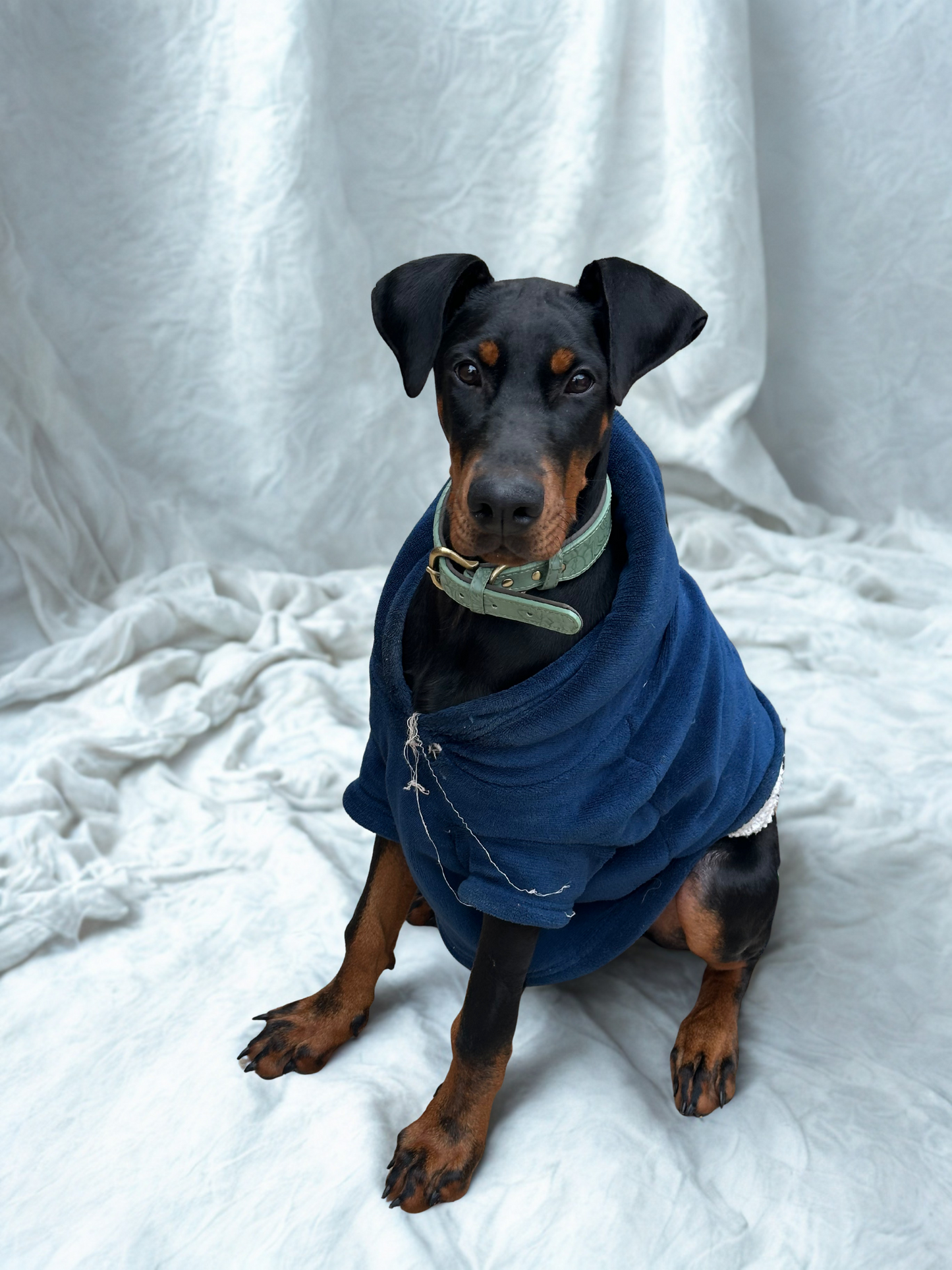 Embossed leather floral print collar