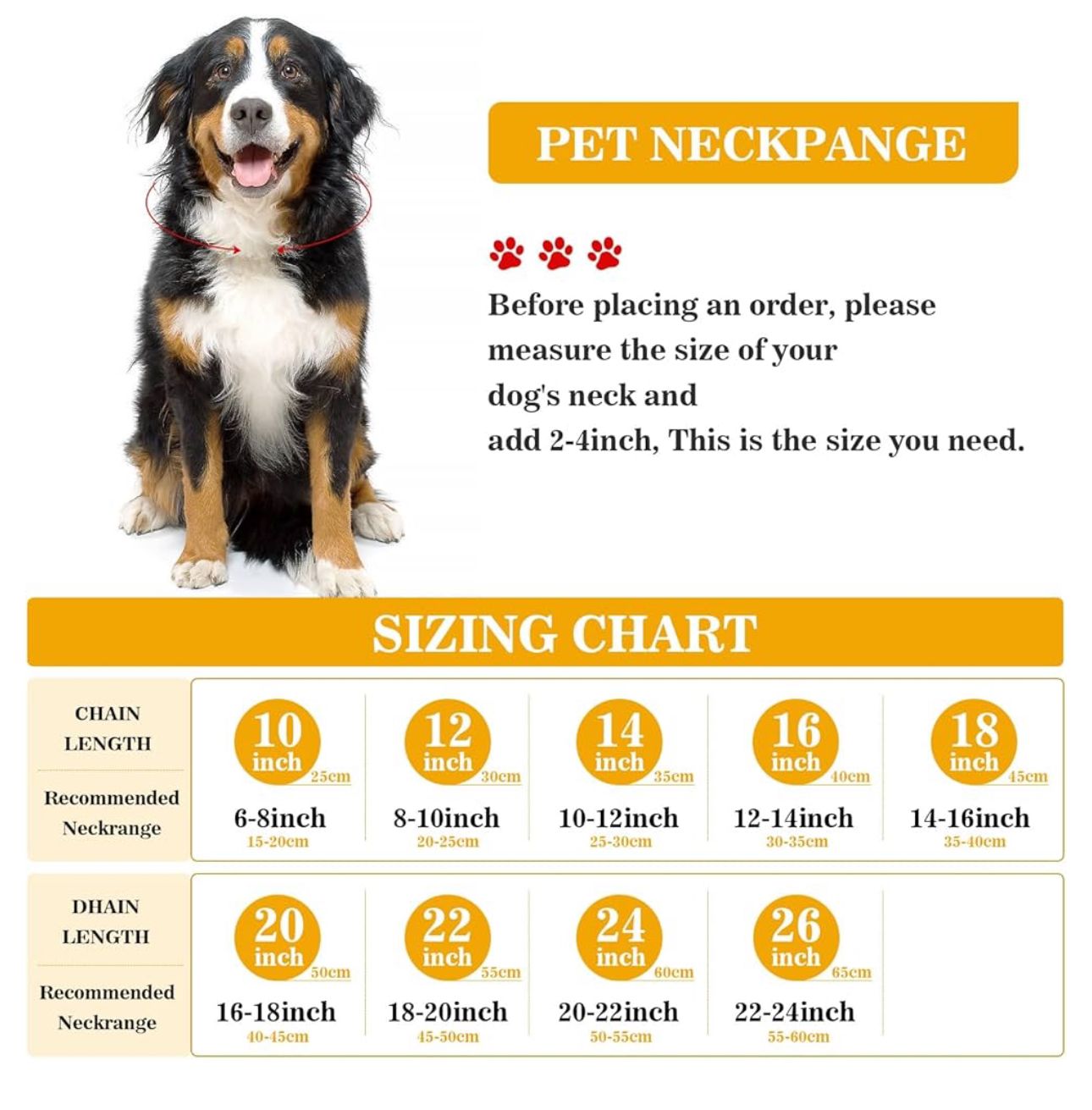 Luxury 18k Gold Cuban Link Dog Chain Collar – Stainless Steel Buckle – Hundsport