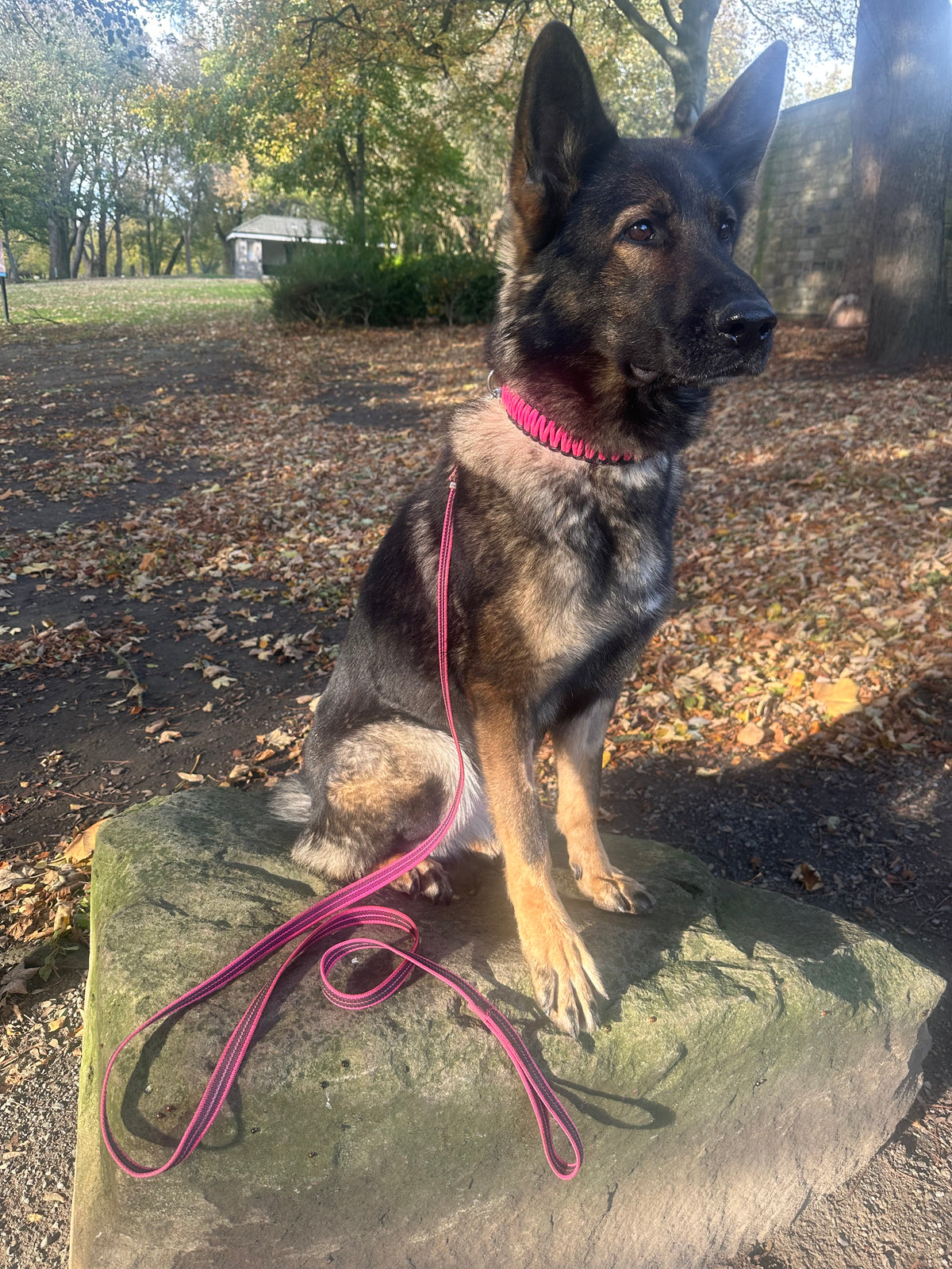 Herm Sprenger - Paracord collar & rubberized lead set Neon Pink