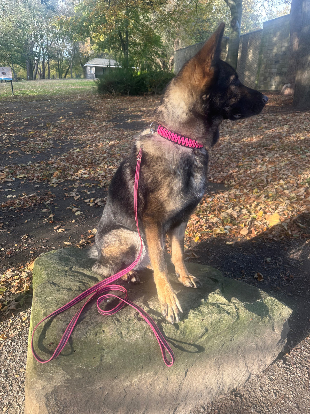 Herm Sprenger - Paracord collar & rubberized lead set Neon Pink
