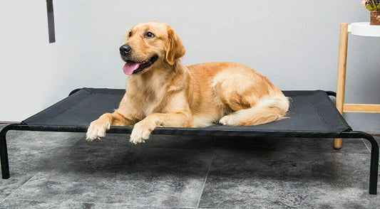 Hundsport Raised dog bed