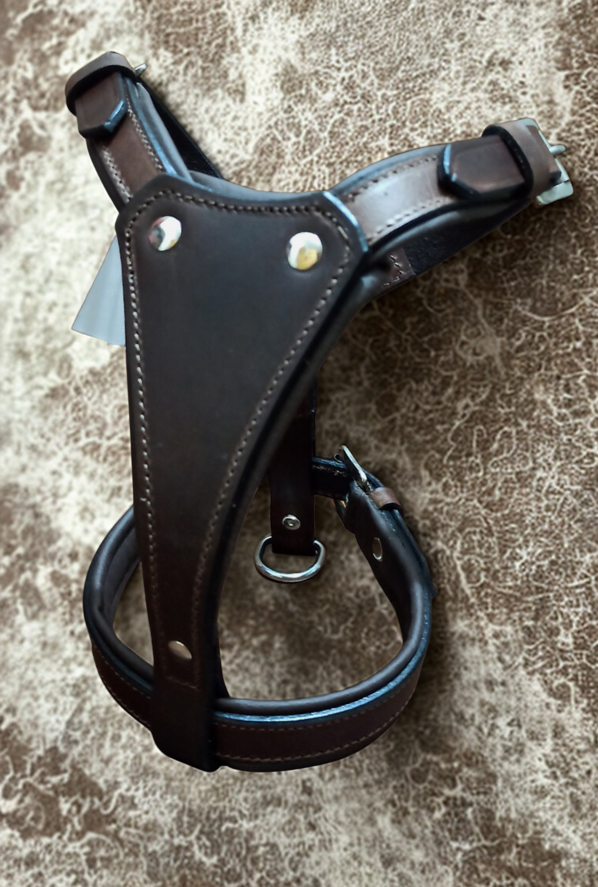 British leather puppy/small dog harness, stainless steel hardware