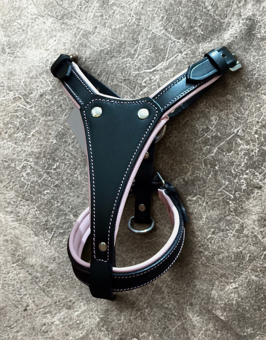 British leather puppy/small dog harness, stainless steel hardware