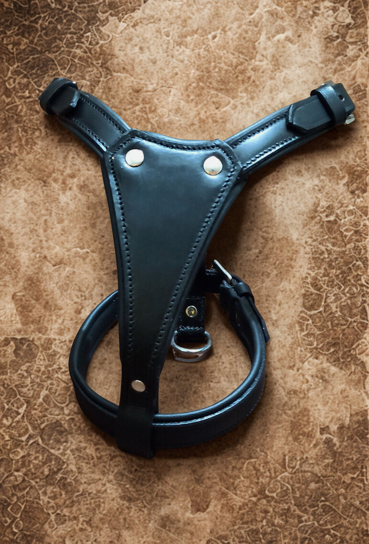 British leather puppy/small dog harness, stainless steel hardware