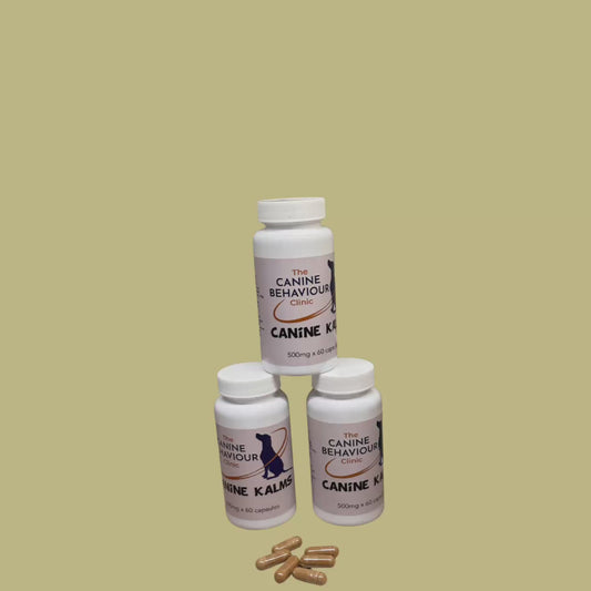 Canine Kalms Ashwagandha Supplement for Dogs Natural Anxiety Relief and Wellbeing Support